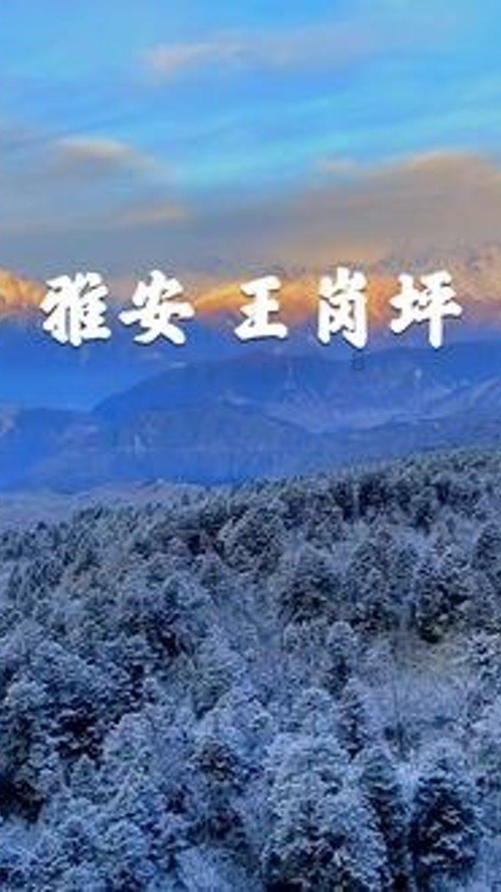 野生动物园大逃脱
